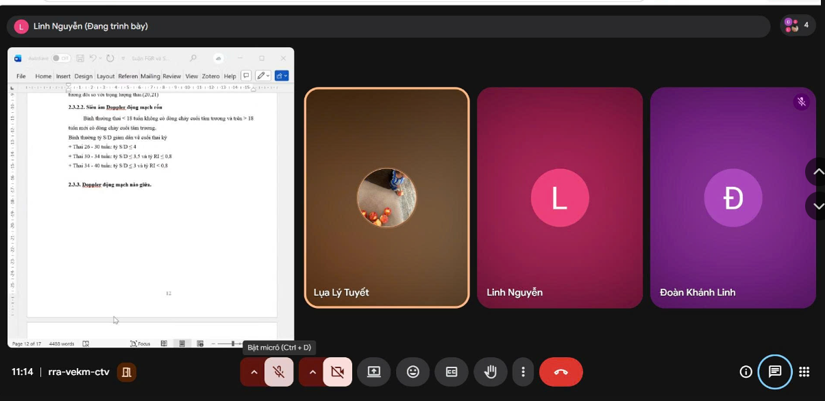 Buổi họp Google Meet đang chia sẻ màn hình trình bày tài liệu nhóm